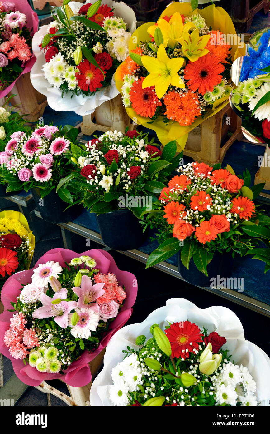 Marché aux fleurs dans la vieille ville de Nice, France, Alpes Maritimes, Nice Banque D'Images