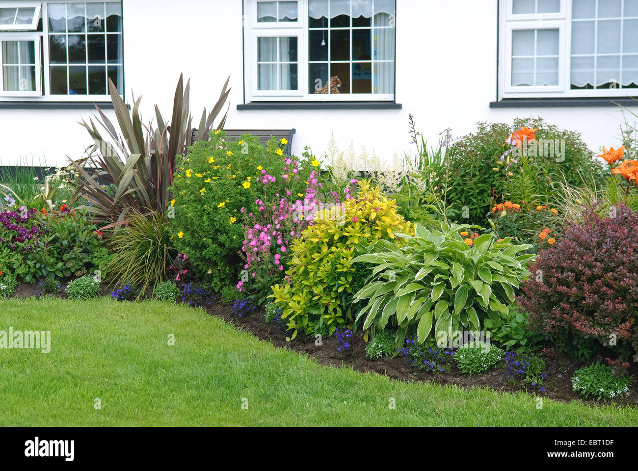 Frontgarden irlandais avec les plantes de jardin en fleurs, l'Irlande, l'île d'Achill Banque D'Images