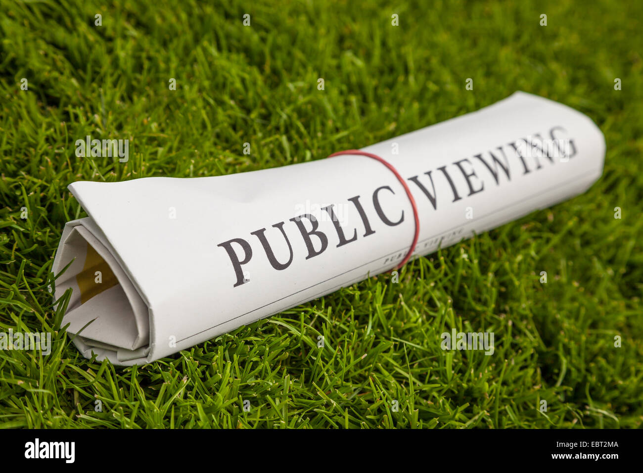 Public viewing journal sur pré vert Banque D'Images