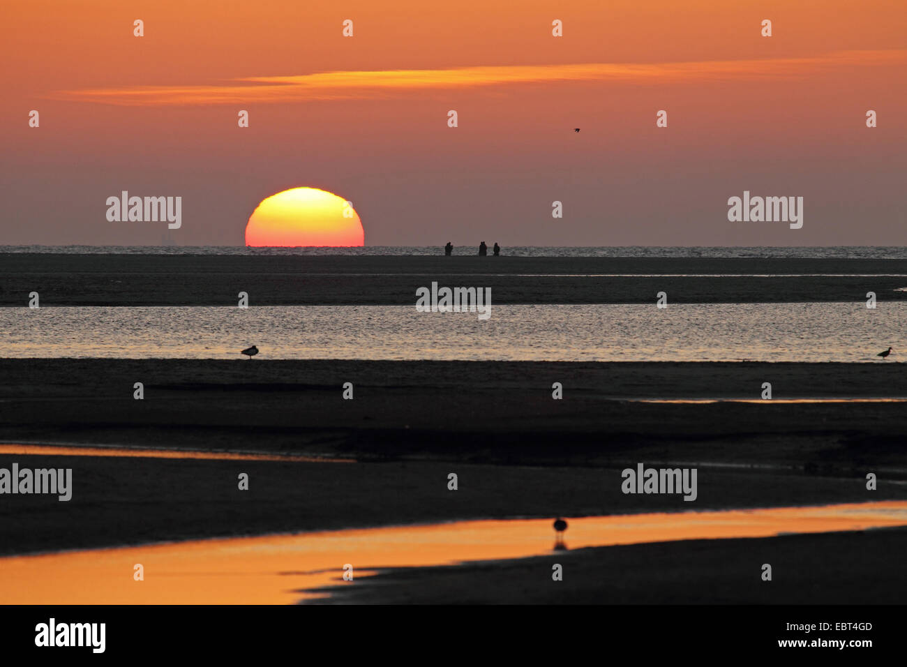 Le soleil se couche sur la mer du Nord , Pays-Bas, Texel, de Slufter Banque D'Images
