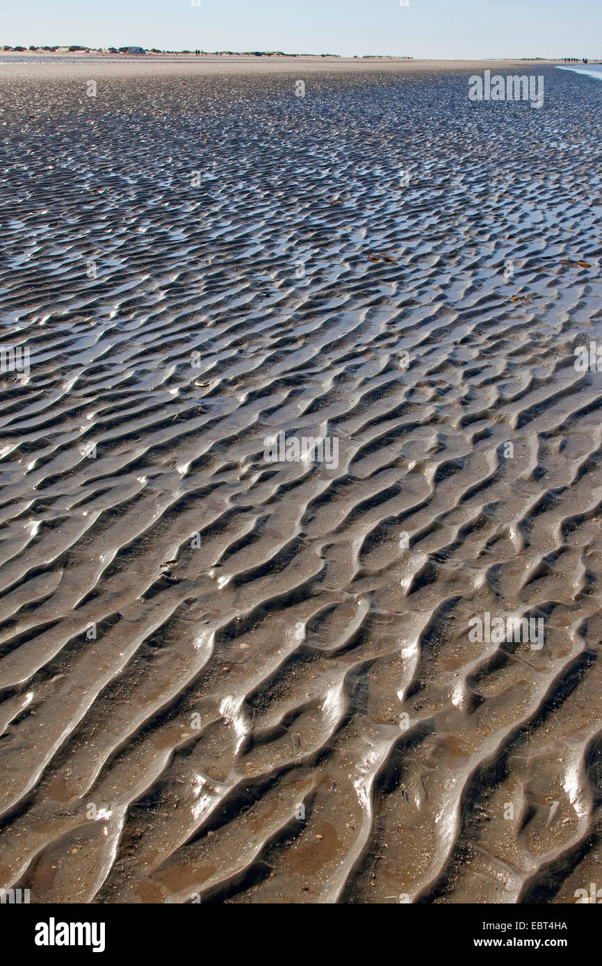 La mer des Wadden, à marée basse, l'Allemagne, pays de la mer des Wadden Parc National Banque D'Images