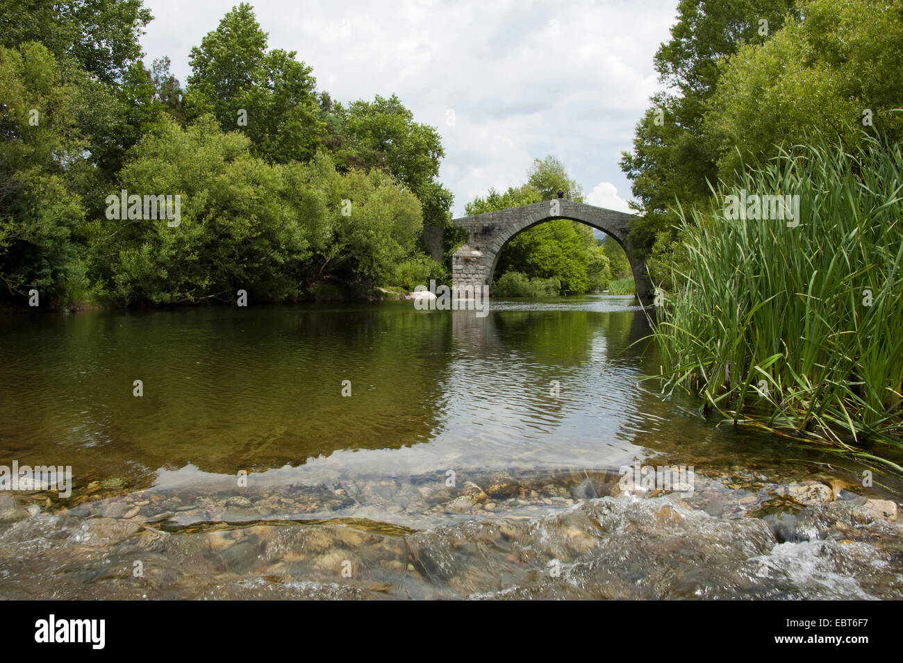 Pont génois, un Spin Cavallu, France, Corse Banque D'Images