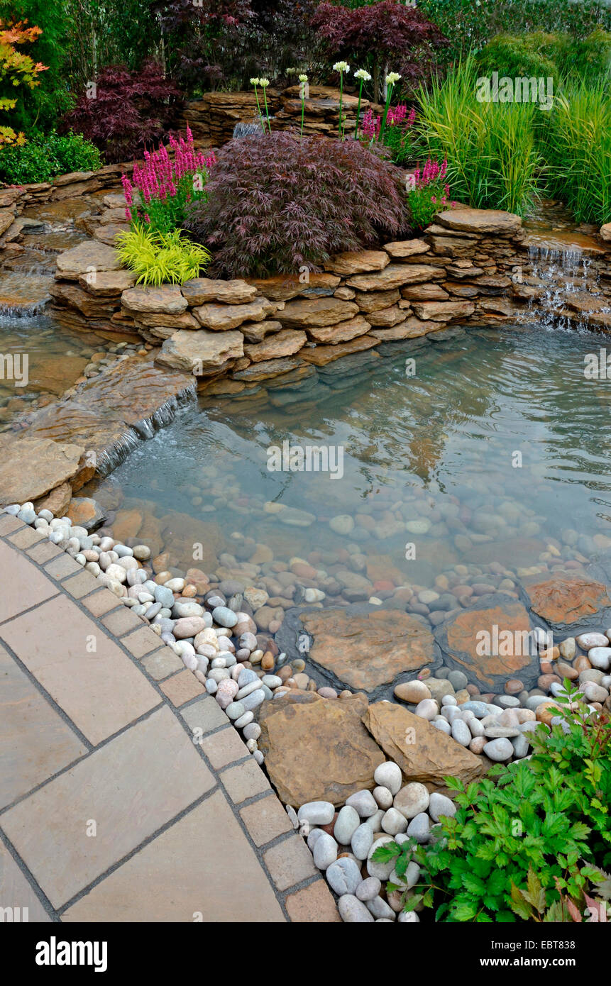 La région de l'étang dans un jardin aquatique avec cascades et rocailles plantés Banque D'Images