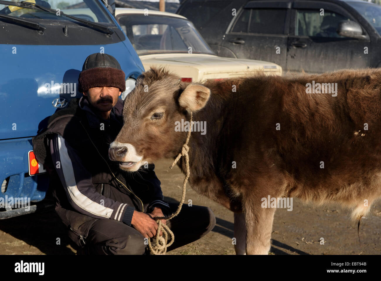 Marché du bétail à Karakol, Kirghizistan, l'Asie Banque D'Images