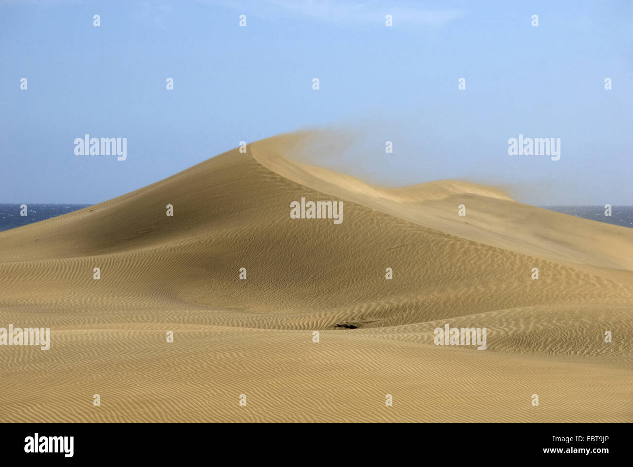 La brise souffle le sable d'une dune à la mer, îles Canaries, Grande Canarie, Maspalomas Banque D'Images
