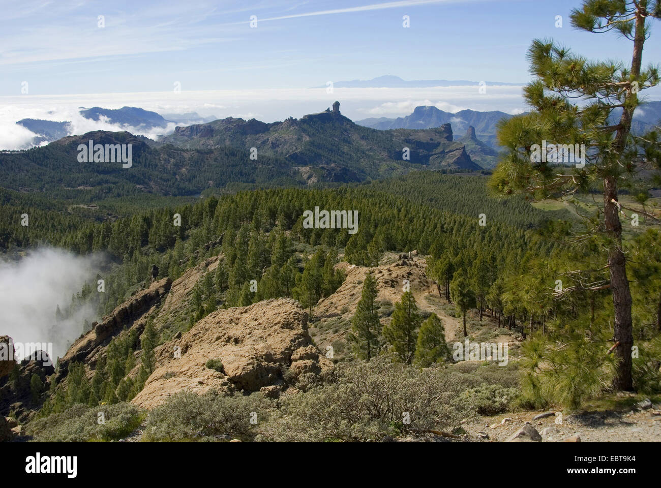 Vue depuis le Pico de las Nieves à la Roque Nublo und à Teneriffa, Canaries, Gran Canaria Banque D'Images