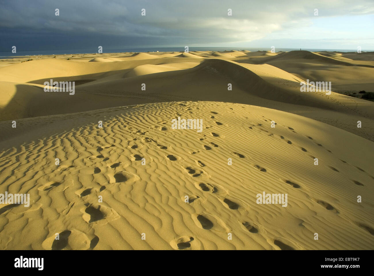 Dunes de sable de la mer, dans la lumière de la soleil du soir, Canaries, Grande Canarie, Maspalomas Banque D'Images