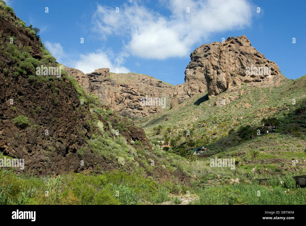 Maisons simples dans une pente boisée en face de rocky mountain tops, Canaries, Gran Canaria, El Sao Banque D'Images