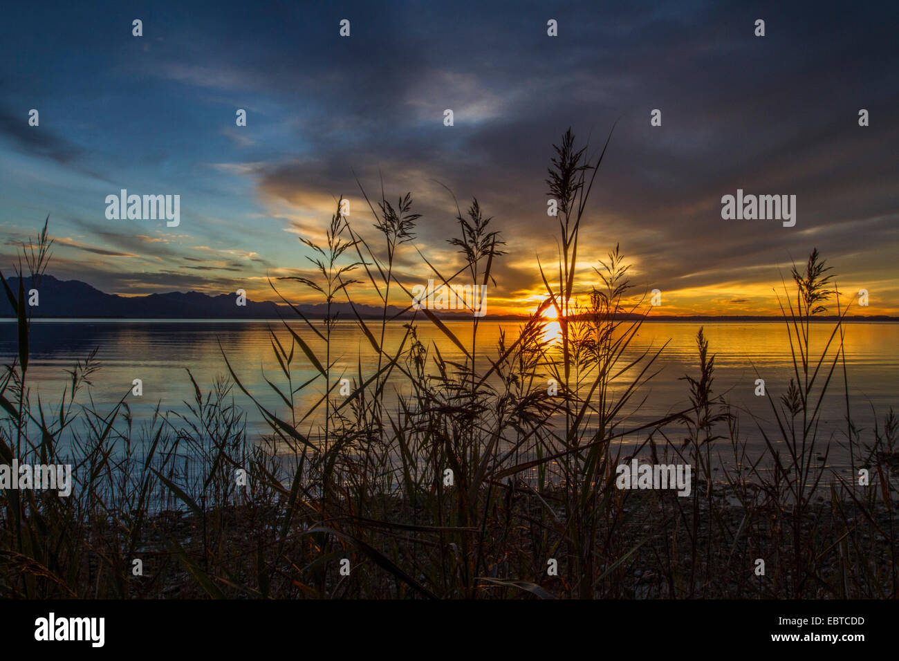 Incandescence du soir sur le lac de Chiemsee, en Allemagne, en Bavière, le lac de Chiemsee, Grabenstätt Banque D'Images