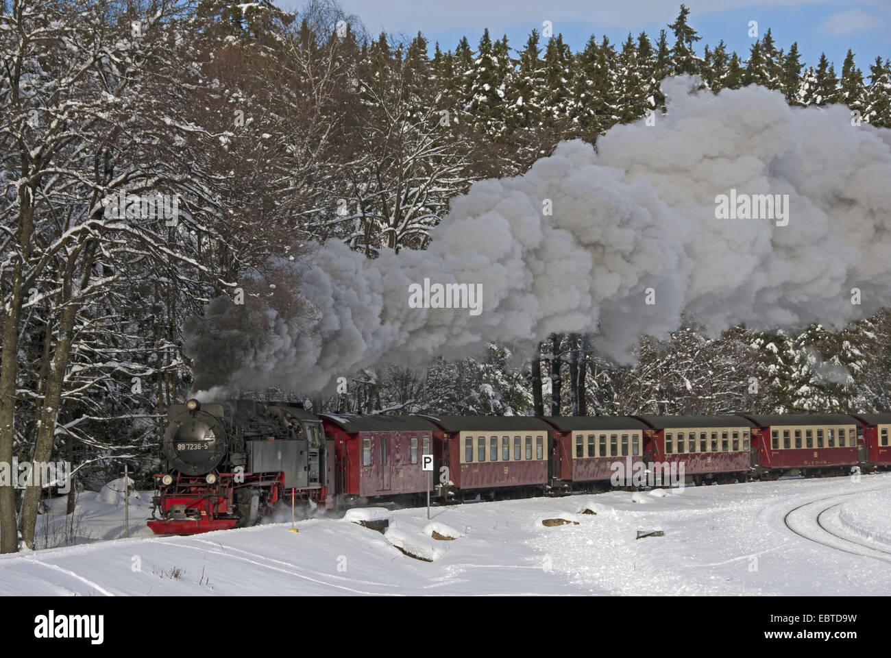 Train de la neige d'une colonne d'aller Harzquerbahn-Harz recroquevillés dans paysage pleine vapeur à voie étroite ; le railwayconnects les villes Nordhausen (Thuringe) et Wernigerode (Saxe-Anhalt), l'Allemagne, la Saxe-Anhalt, Harz, Drei-Annen-Hohne Banque D'Images