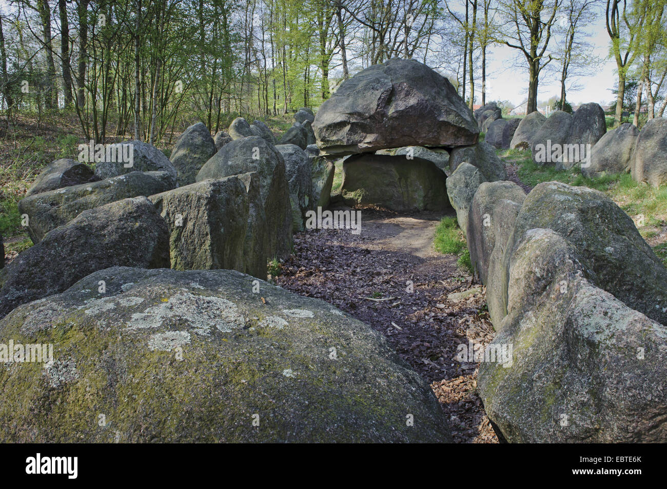 Tombe mégalithique 'Glaner Braut' à partir de l'âge néolithique, ALLEMAGNE, Basse-Saxe, Wildeshausener Geest, Doetlingen Banque D'Images