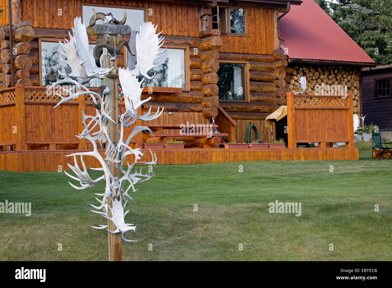 Trophées à un bâtiment résidentiel, Canada, Yukon, Haines Junction Banque D'Images
