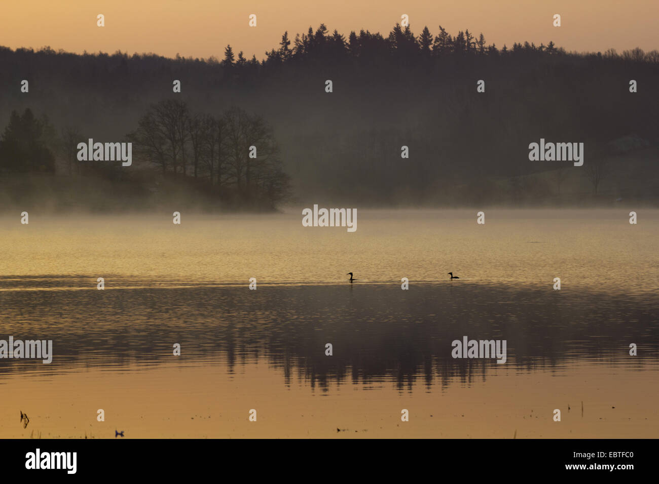 Ciel rouge le matin et brume sur le lac de stockage Poehl, Allemagne, Saxe, Vogtland Banque D'Images