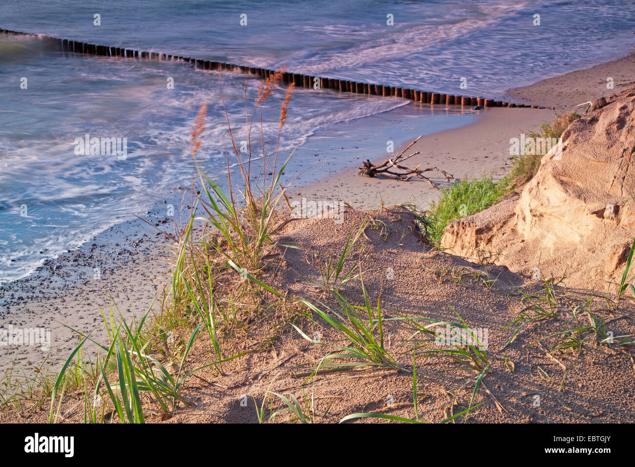 Vue d'un épi de la mer Baltique, l'Allemagne, de Mecklembourg-Poméranie occidentale, Wustrow Banque D'Images