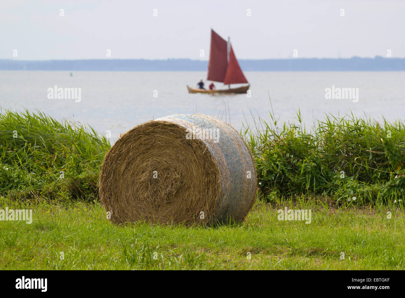 Botte de paille et Bavaria 50, Allemagne, Mecklembourg-Poméranie-Occidentale, Wustrow Banque D'Images