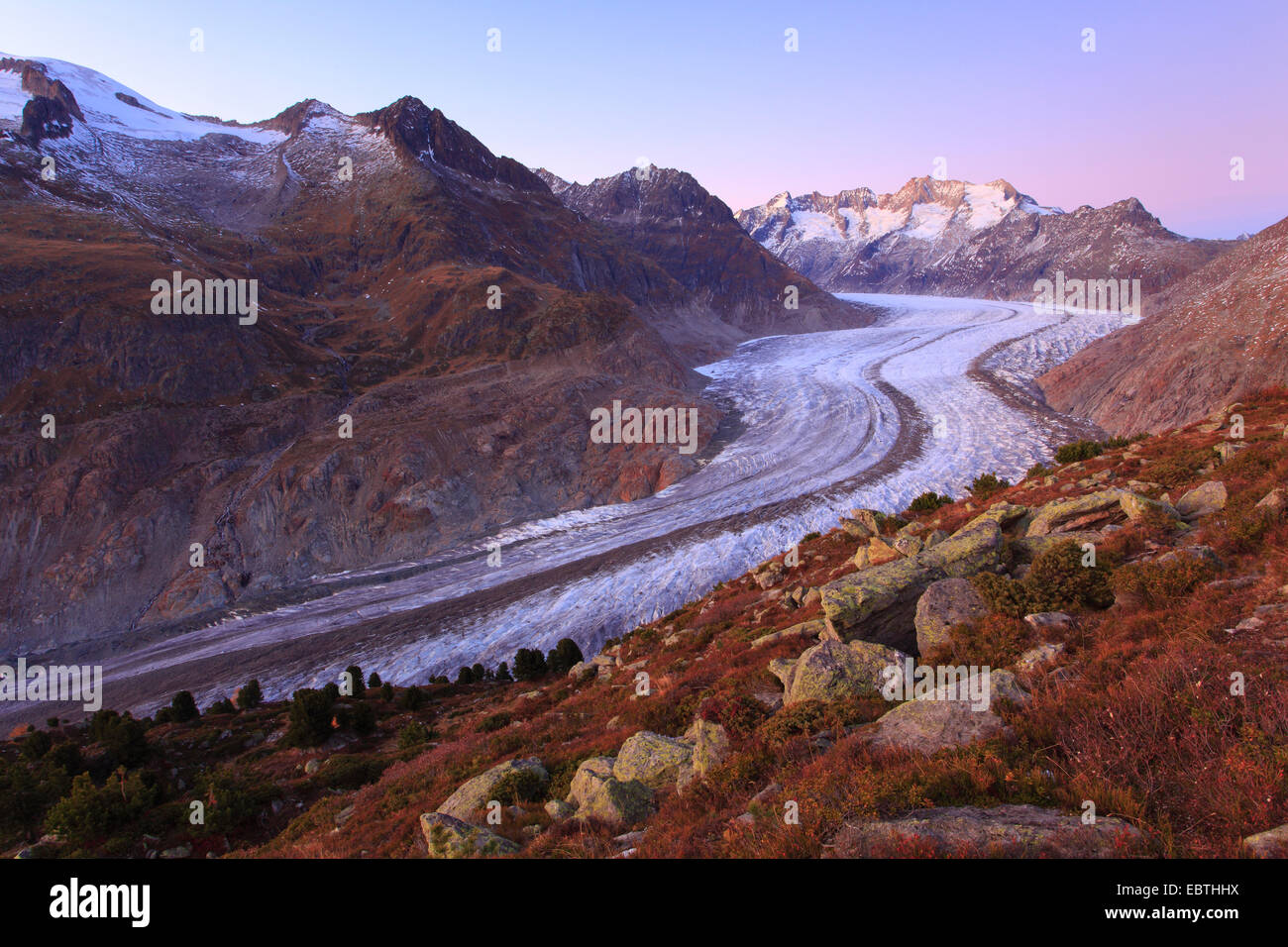 Grand Glacier d'Aletsch et Wannerhorn groupe la montagne, Suisse, Valais Banque D'Images