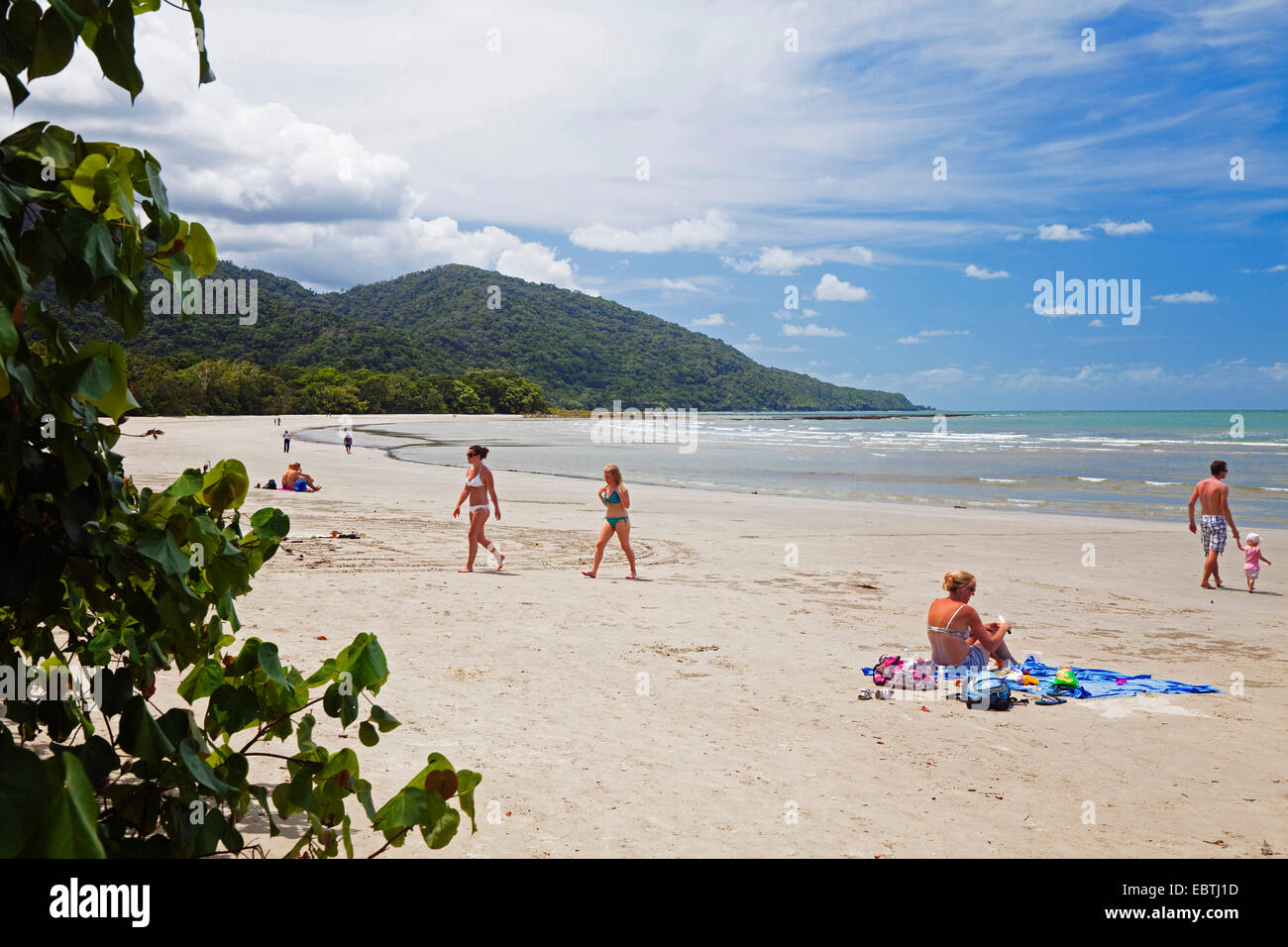 Cape Tribulation beach, Queensland, Australie Banque D'Images