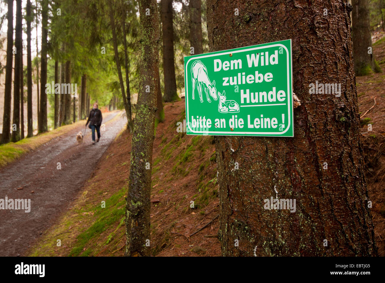 Jeune femme prendre le chien pour une promenade à côté d'un signe en laisse les 'chiens' , Allemagne, Rhénanie-Palatinat Banque D'Images