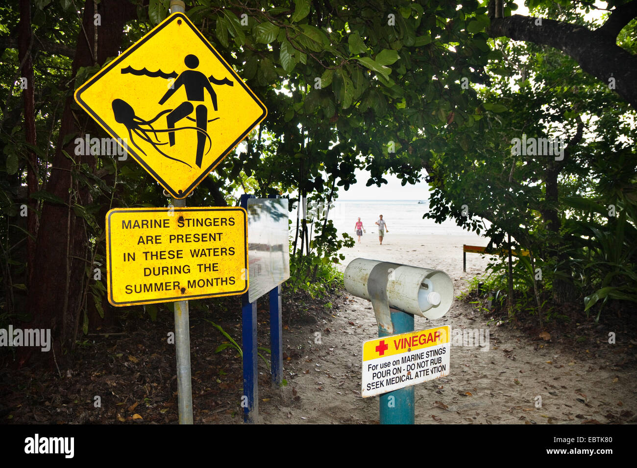 Panneau d'avertissement stinger dans le chemin d'accès à Cape Tribulation beach, Queensland, Australie Banque D'Images