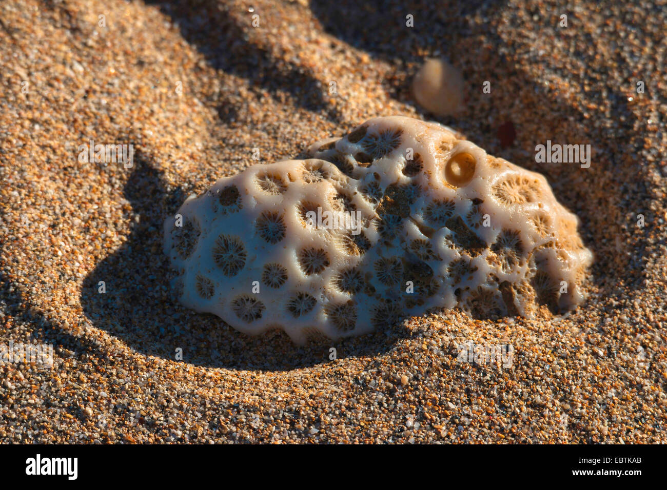Sur la plage de corail, l'Australie, Australie occidentale, Exmouth Banque D'Images