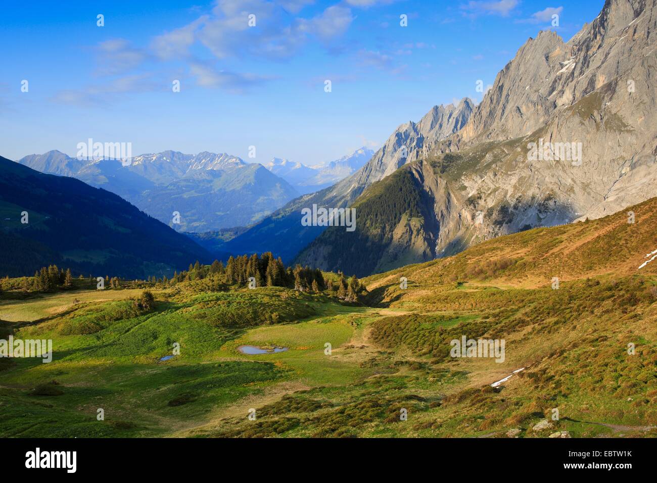 Vue panoramique vue sur une prairie au Wellhorn et le Engelhoerner, Suisse Banque D'Images