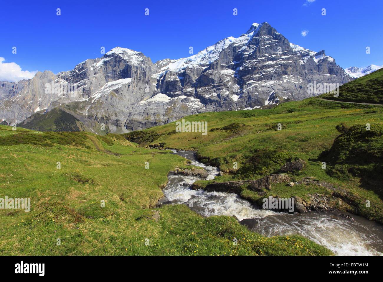 Vue à travers la Reichenbachtal au montagnes neige-couvertes Wellhorn et Wetterhorn, Suisse, Berne, Oberland Bernois, Rosenlauital Banque D'Images