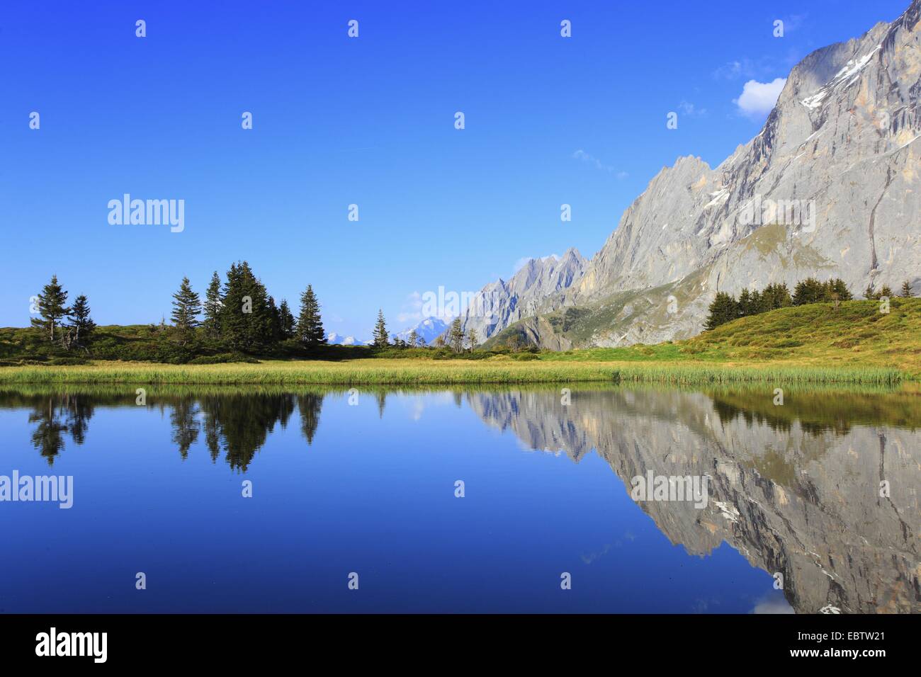 Passage alpin 'Grosse Scheidegg', Suisse, Berne, Oberland Bernois Banque D'Images