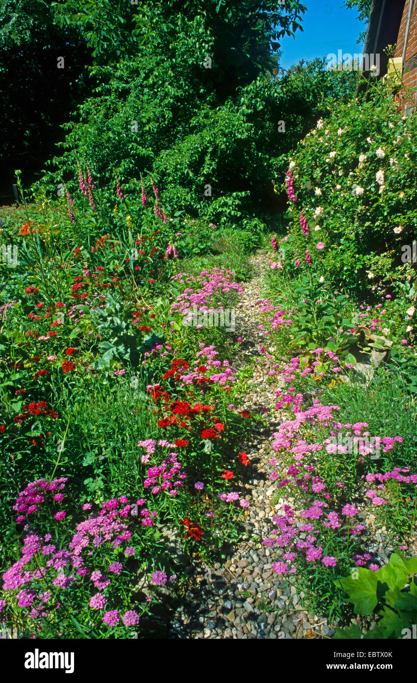 Nature jardin avec chemin de galets, Allemagne Banque D'Images