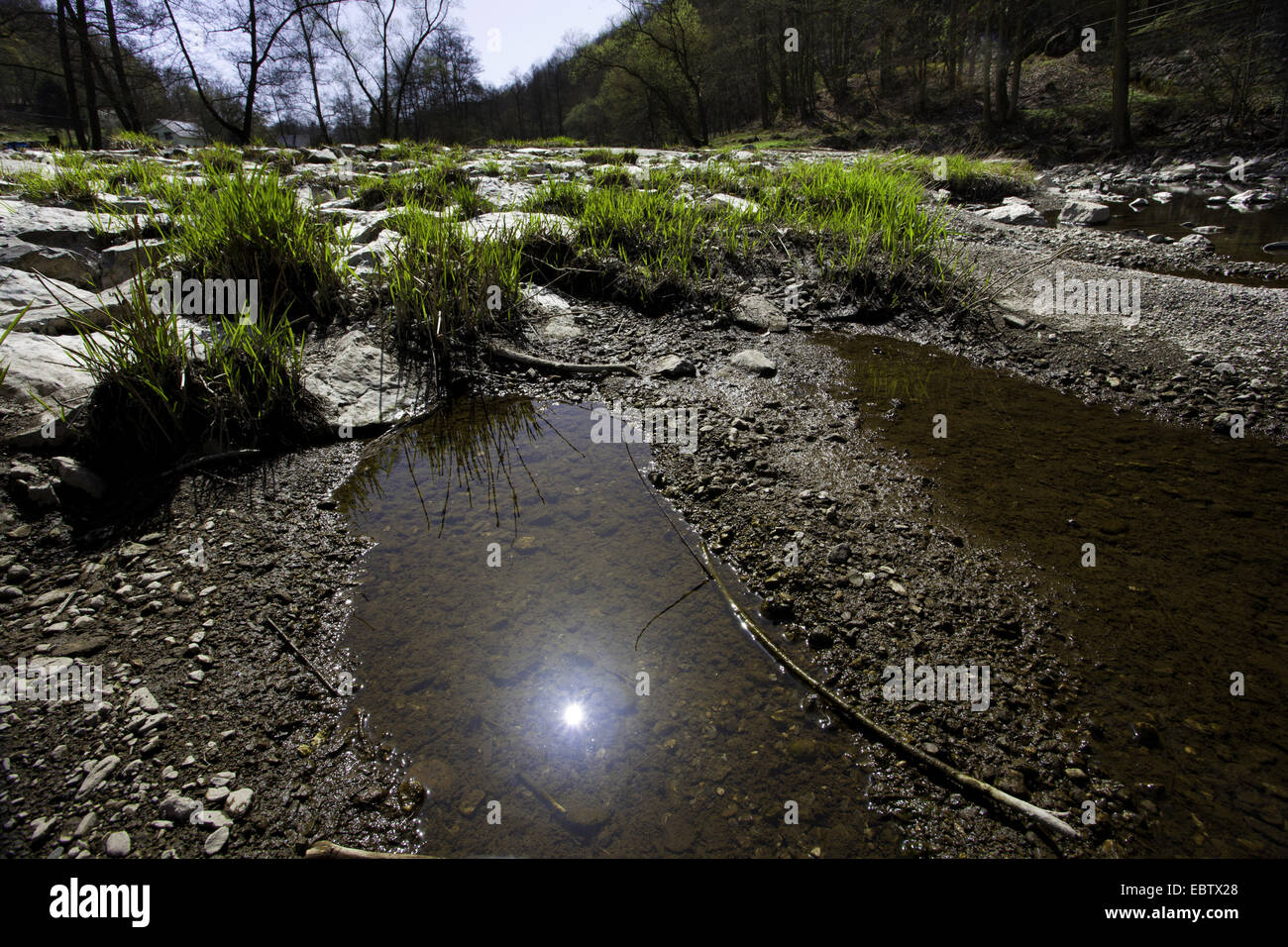 L'eau peu profonde au bord de la rivière dans la vallée de la Weisse Elster, Allemagne, Saxe, Vogtland Banque D'Images