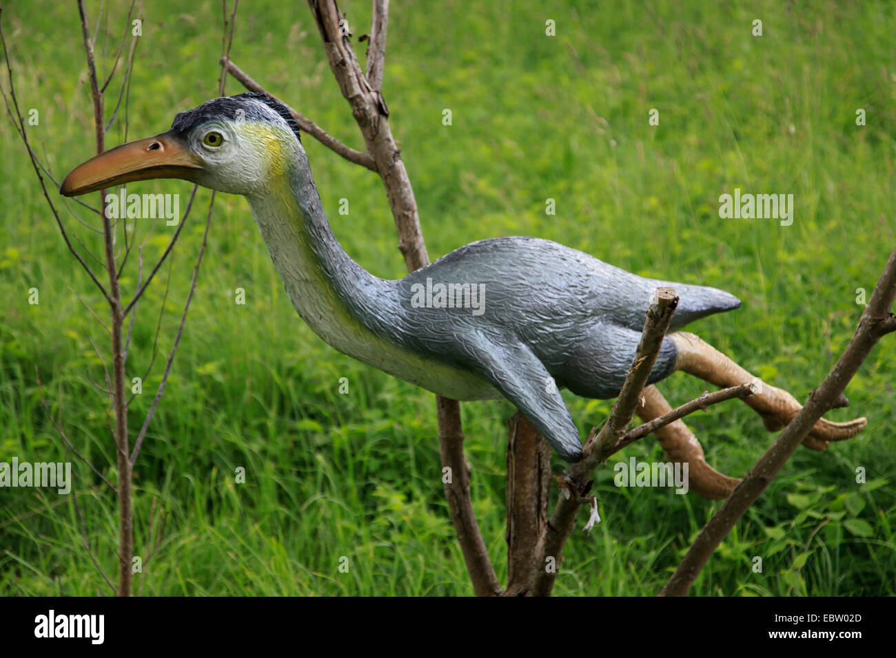 Hesperornis (Hesperornis), oiseau disparu genre Banque D'Images