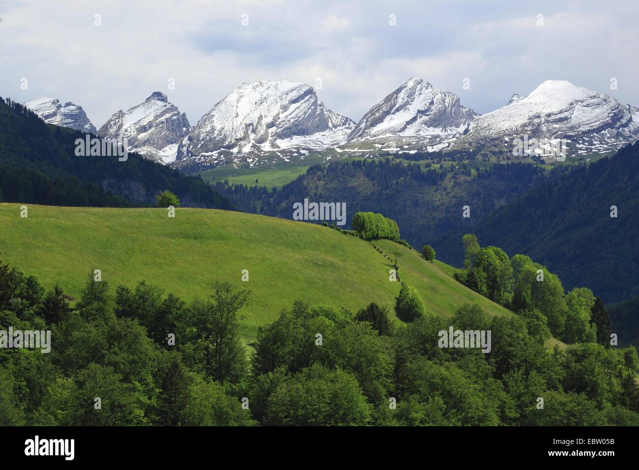 La chaîne de montagnes de Churfirsten les Alpes, Suisse Appenzell, Saint-Gall, Toggenburg Banque D'Images