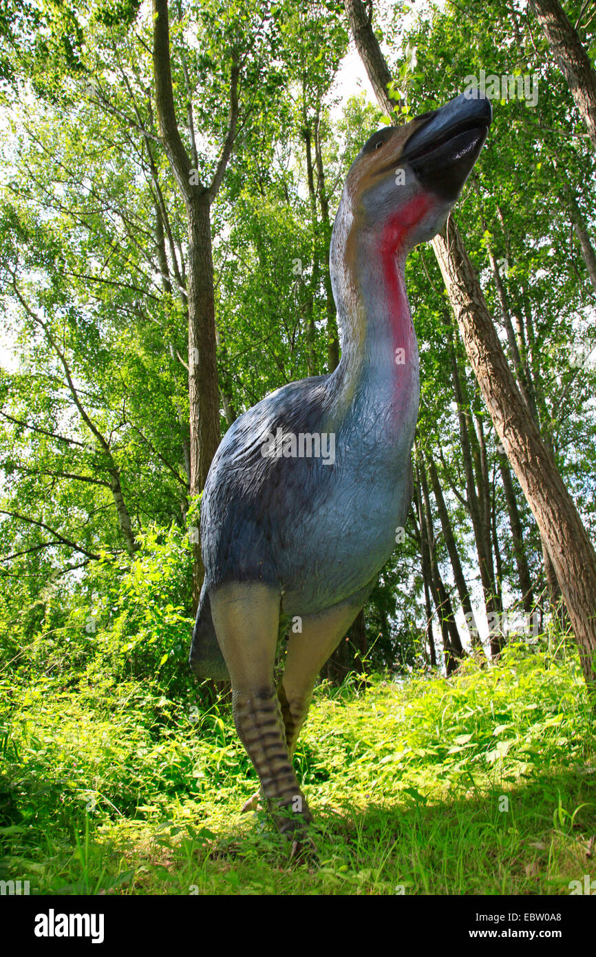 Diatryma Gastornis (Diatryma,), espèce de grand oiseau Banque D'Images