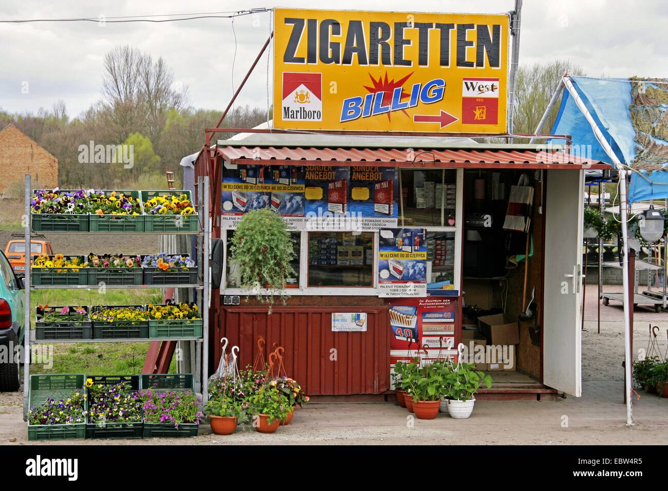 Stand de vente des cigarettes et des fleurs au marché polonais, la Pologne, la Poméranie occidentale, Cedynia Banque D'Images