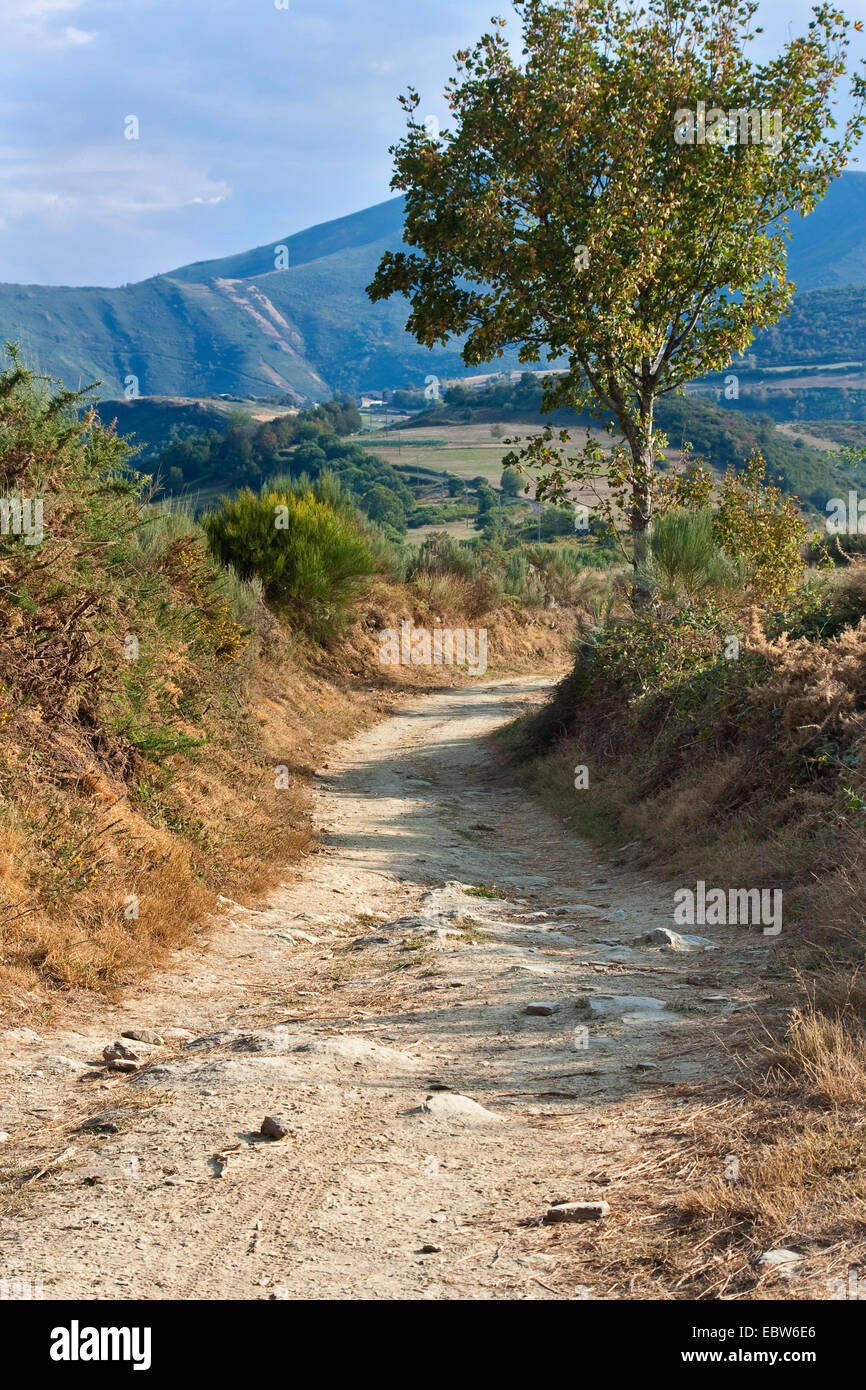 Chemin de Saint Jacques entre La Faba et La Laguna , Espagne, Le¾n Kastilien und, Leon Banque D'Images