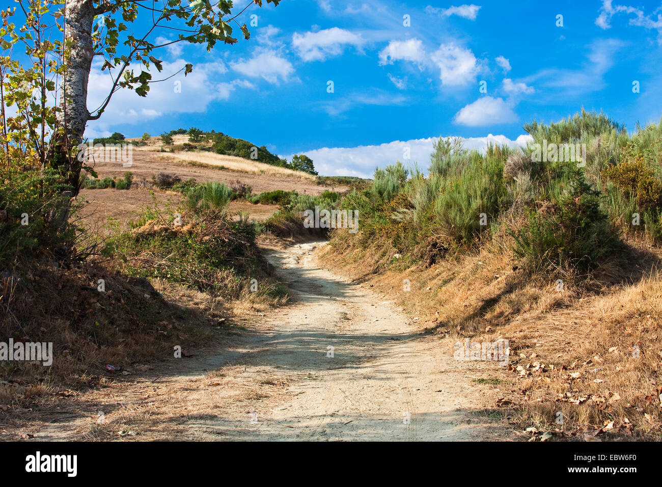 Chemin de Saint Jacques entre La Faba et La Laguna , Espagne, Le¾n Kastilien und, Leon Banque D'Images