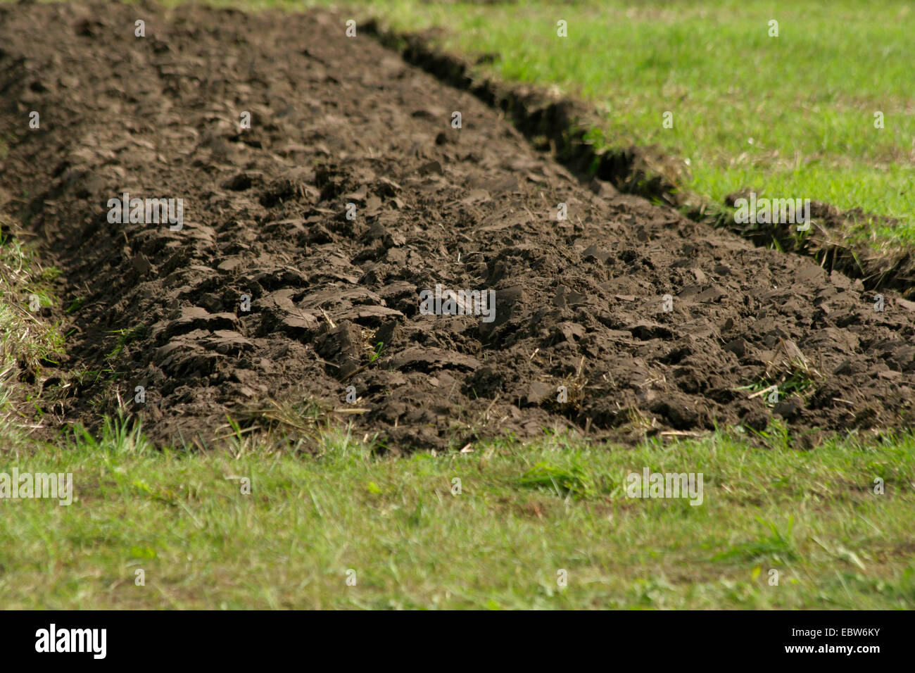 Champ labouré, Allemagne, Brandebourg Banque D'Images