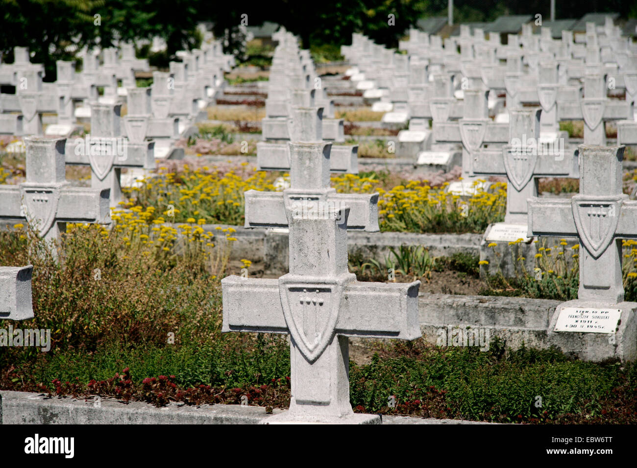 Cimetière de guerre avec l'armée polonaise 2000 tombes du soldat, Pologne, Occidentale, Siekierki Banque D'Images
