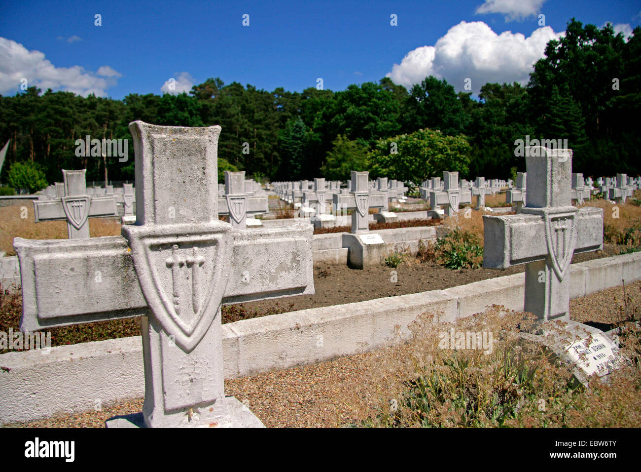 Cimetière de guerre avec l'armée polonaise 2000 tombes du soldat, Pologne, Occidentale, Siekierki Banque D'Images