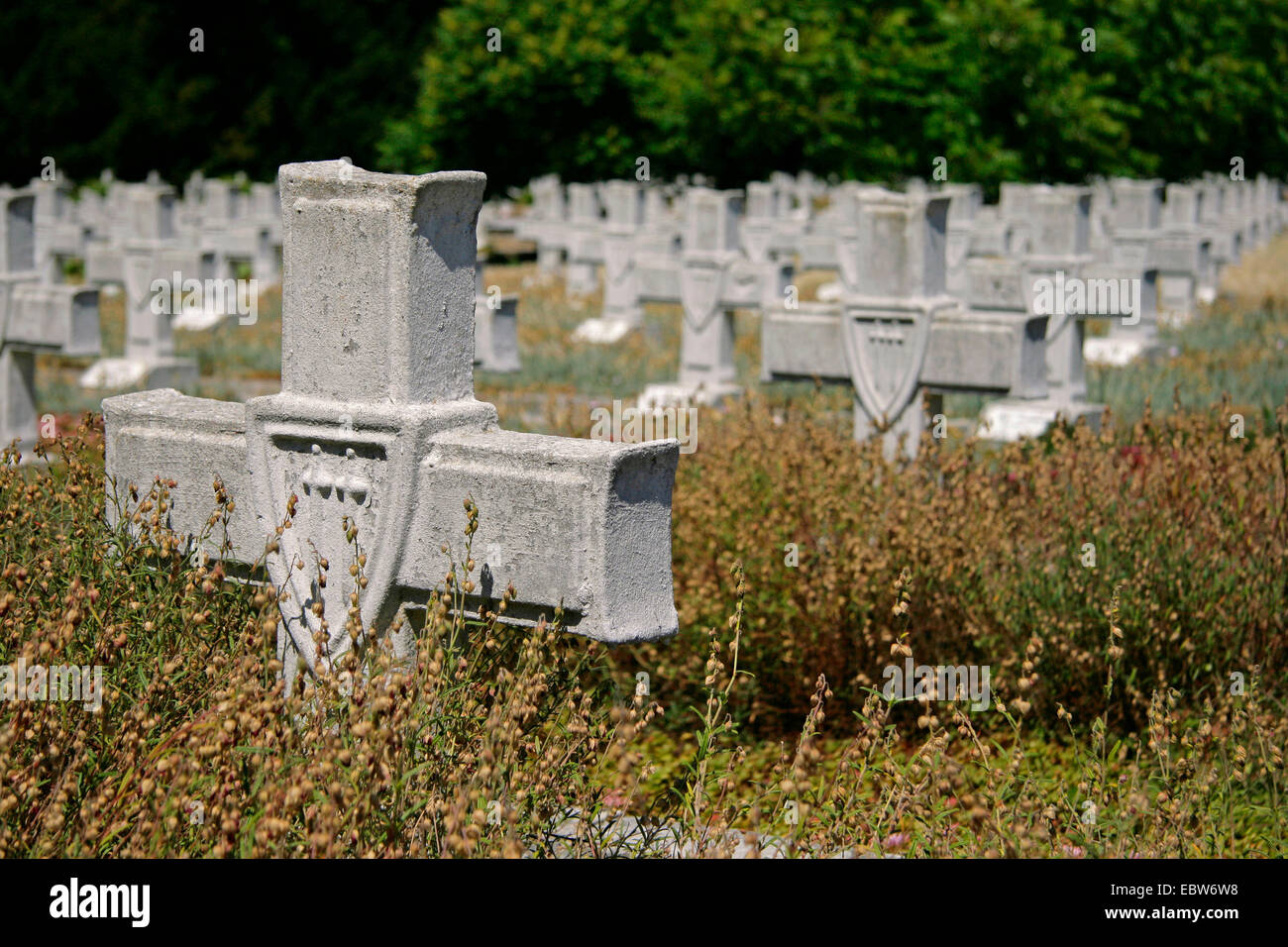 Cimetière de guerre avec l'armée polonaise 2000 tombes du soldat, Pologne, Occidentale, Siekierki Banque D'Images