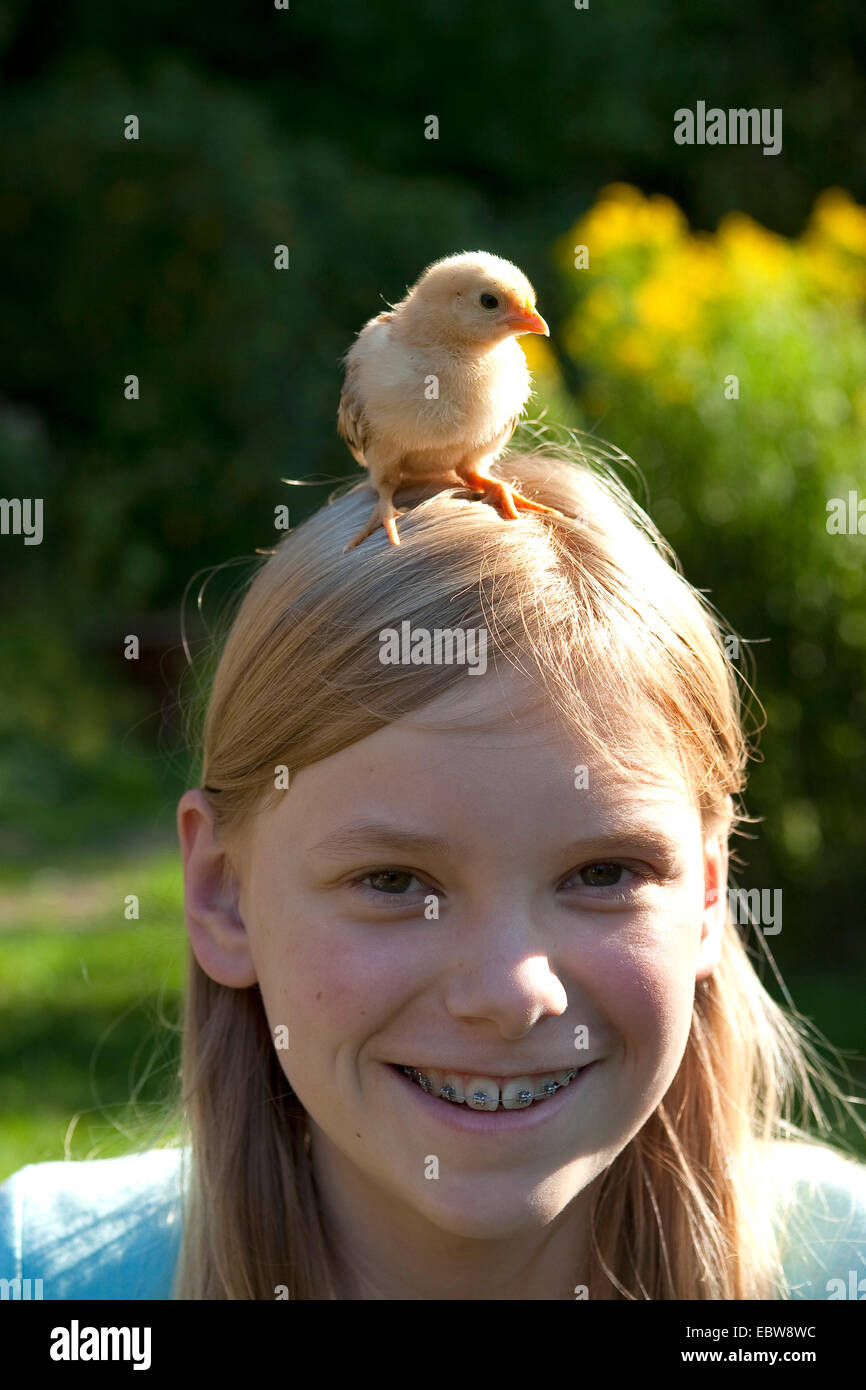 Les oiseaux domestiques (Gallus gallus f. domestica), sur la tête des filles, Allemagne Banque D'Images