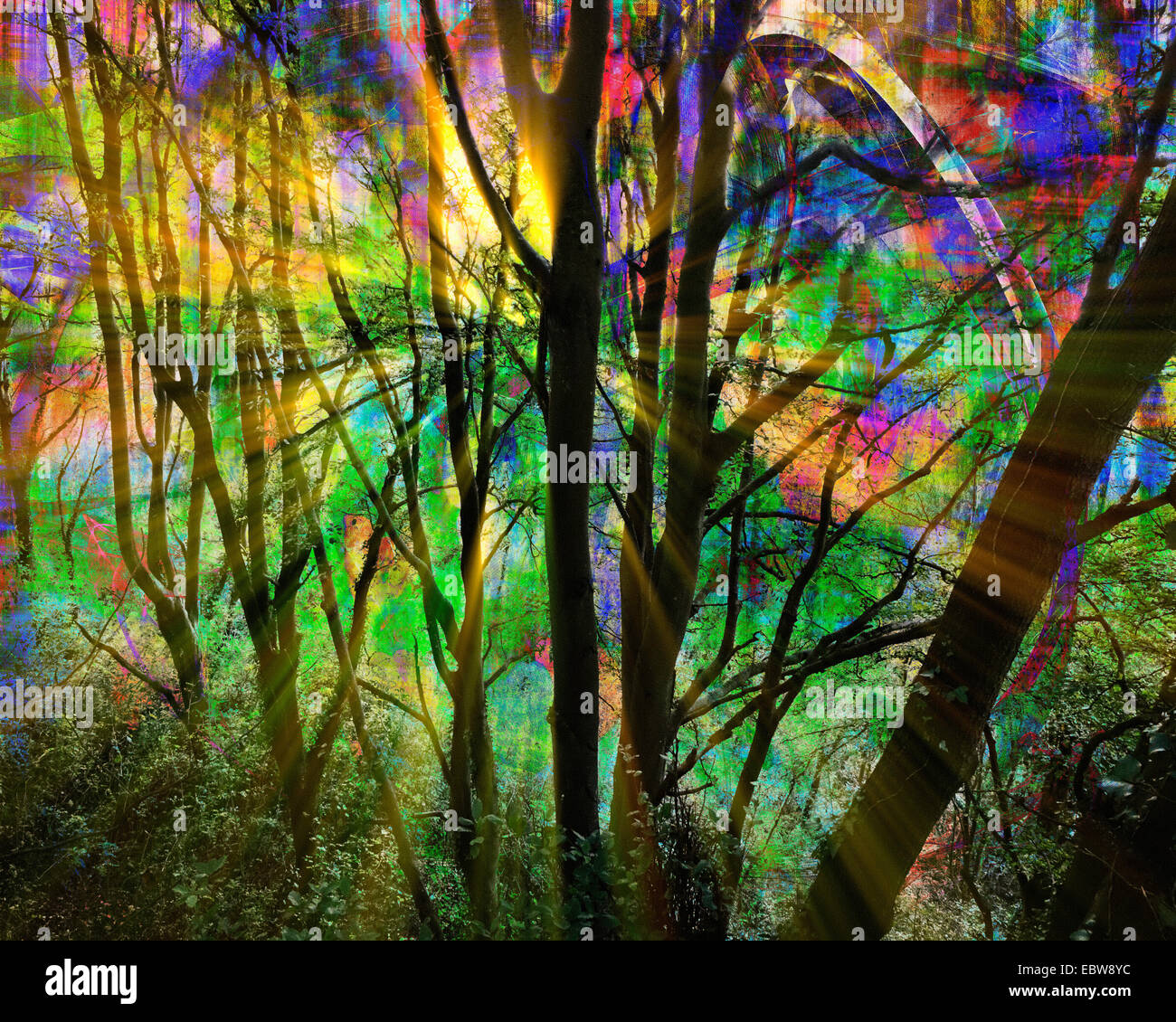 L Art Numerique Foret Magique De Pres De Ansteys Cove Entre Babacombe Et Torquay Devon Angleterre Photo Stock Alamy L Art Numerique Foret Magique De Pres De Ansteys Cove Entre Babacombe Et Torquay Devon Angleterre Photo Stock Alamy