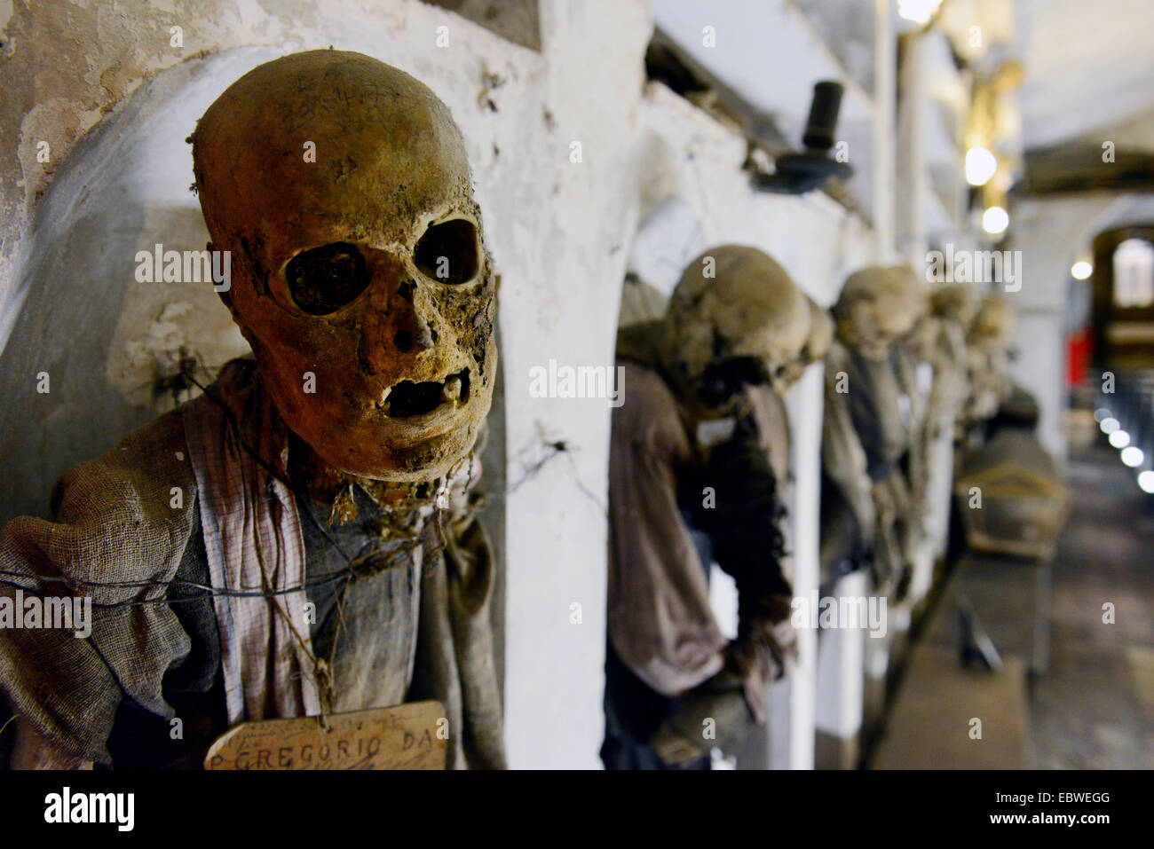 Cadavres Momifies Dans Les Catacombes Capucines De Palerme Italie Photo Stock Alamy
