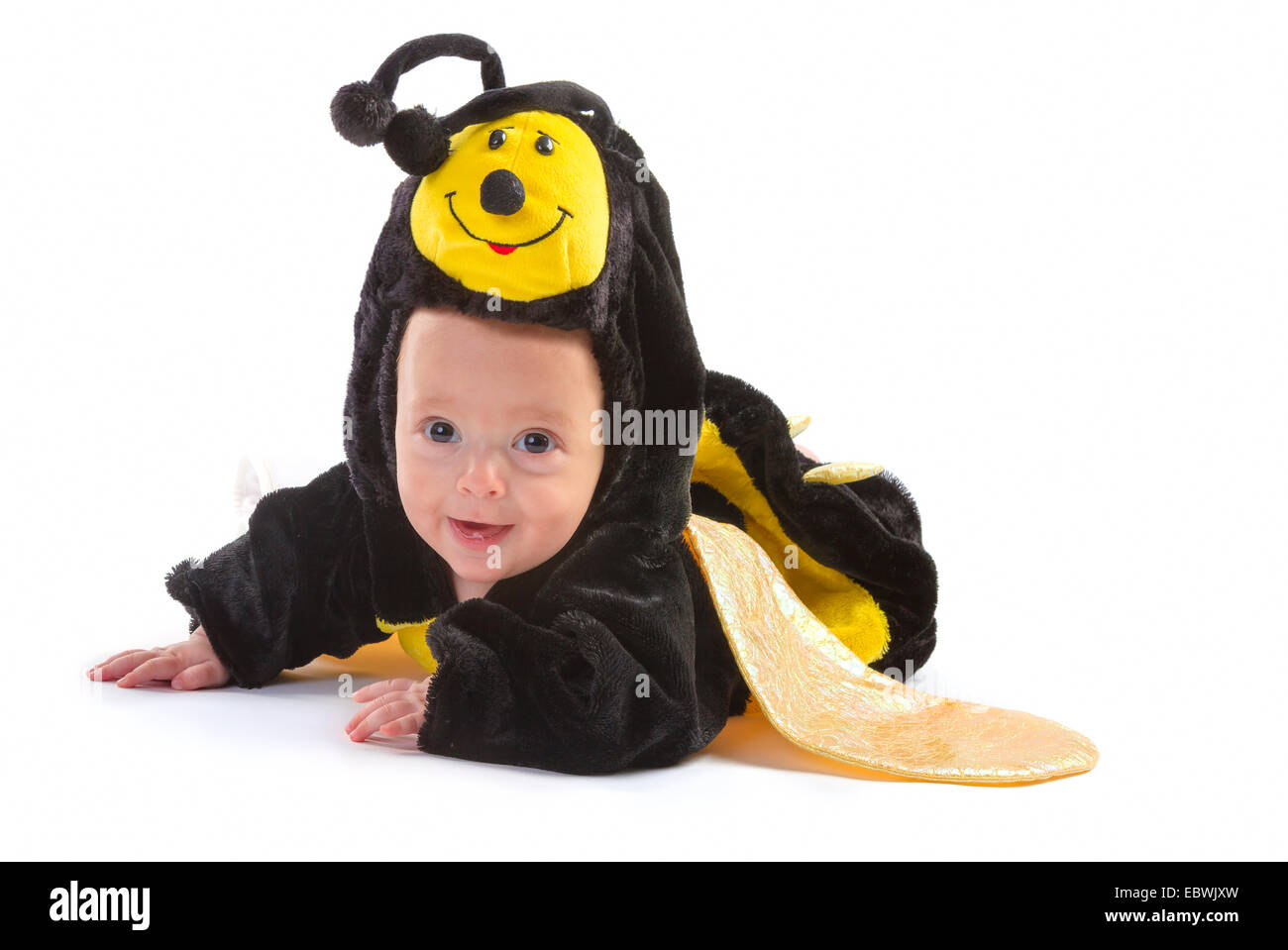 Bébé garçon habillés comme abeille sur fond blanc Banque D'Images