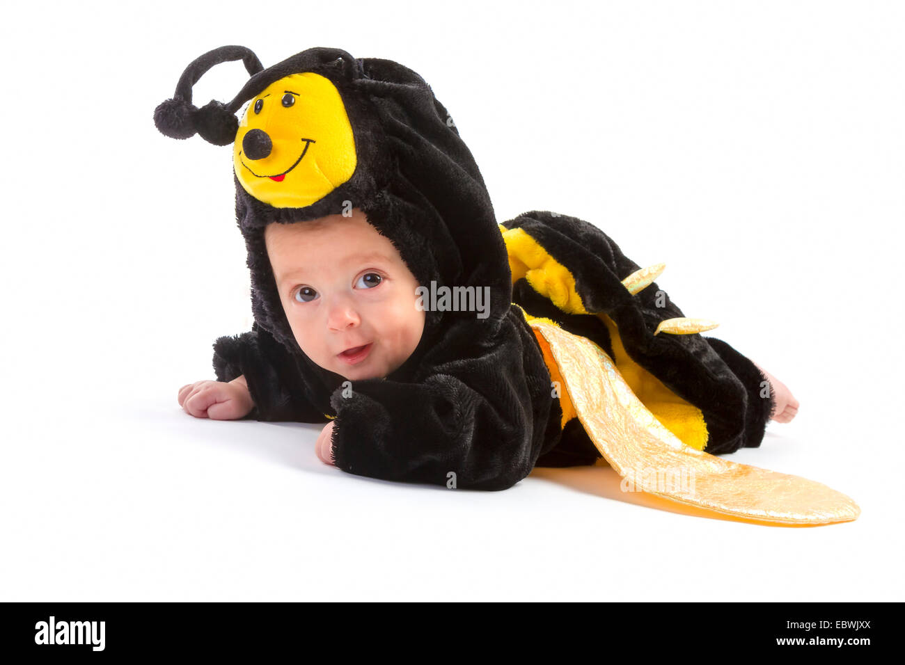 Bébé garçon habillés comme abeille sur fond blanc Banque D'Images
