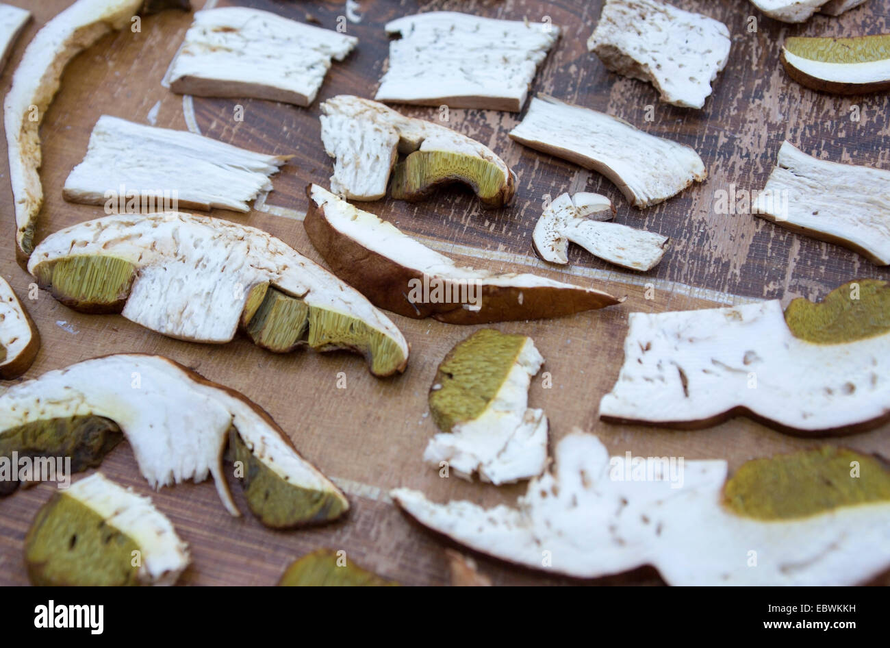 Coupe champignons Boletus edulis pour droughting. Banque D'Images