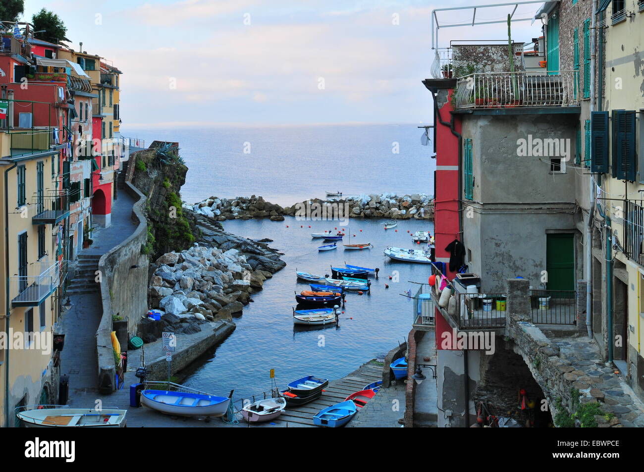 Harbour en début de matinée, Riomaggiore, Cinque Terre, ligurie, italie Banque D'Images