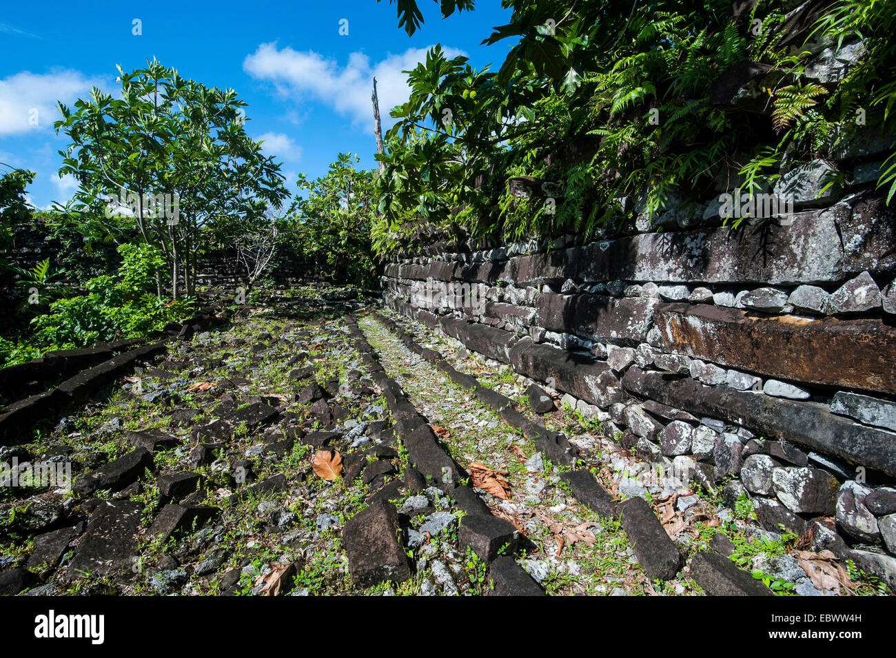 Ruines de la ville antique Nan Madol, Pohnpei, Caroline, Micronésie, Centre du Pacifique Banque D'Images