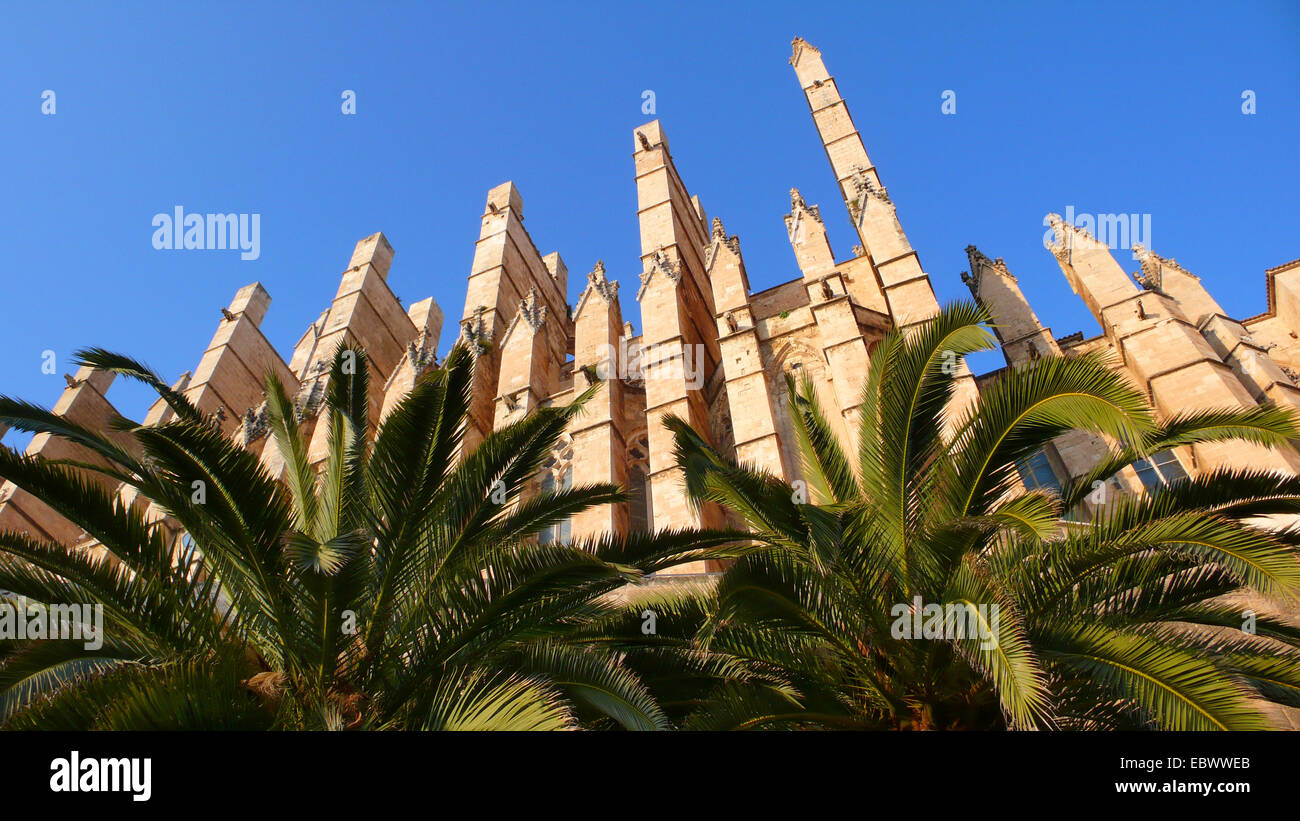 La cathédrale de Palma, détail, Espagne, Baléares, Majorque, Palma Banque D'Images