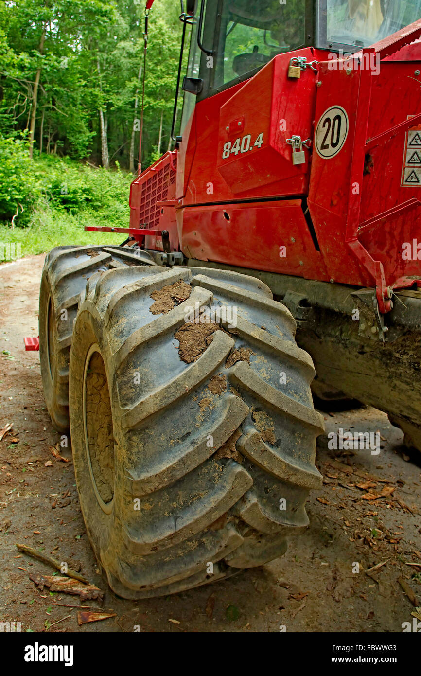 Transitaire sur chemin forestier, Allemagne Banque D'Images