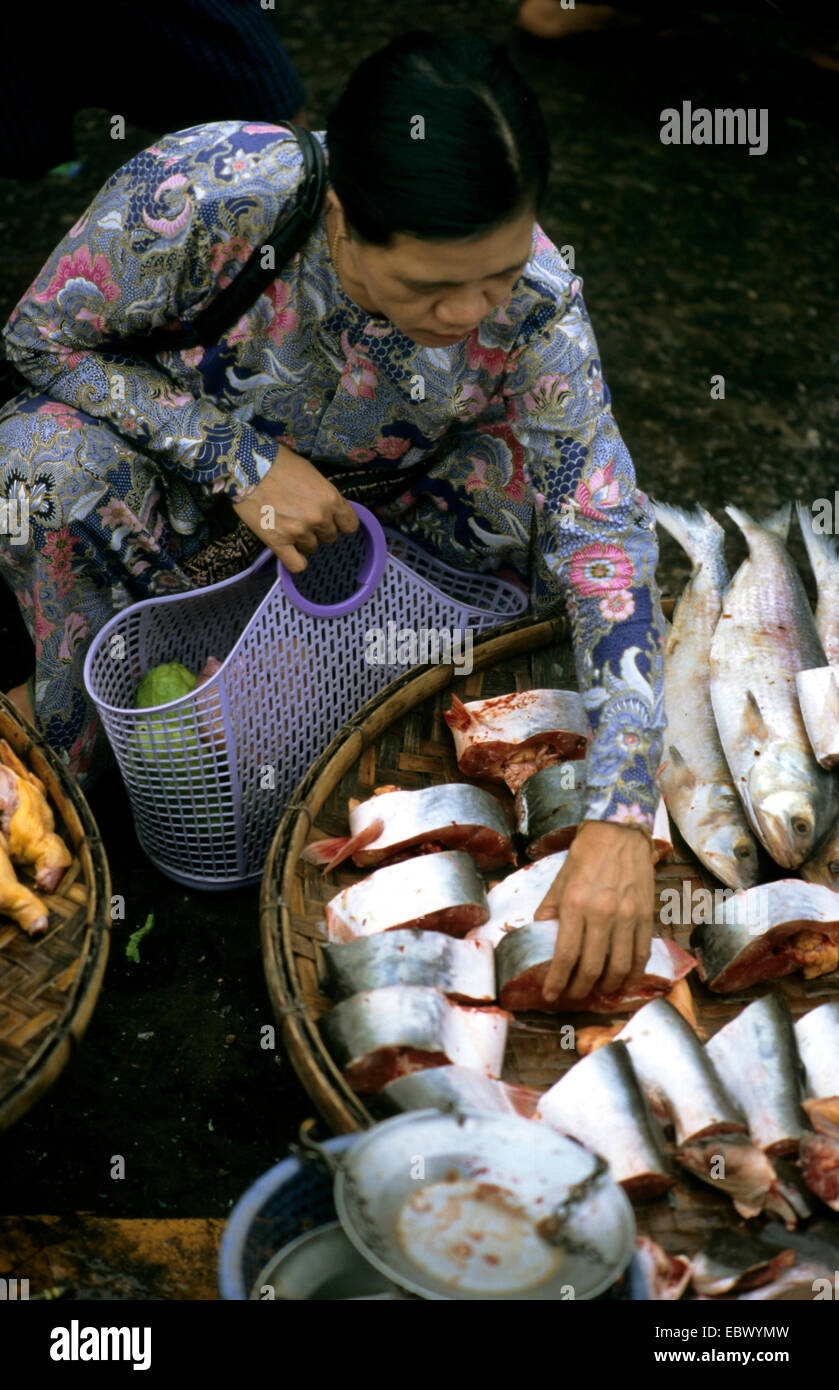 Femme birmane au marché aux poissons, la Birmanie Banque D'Images